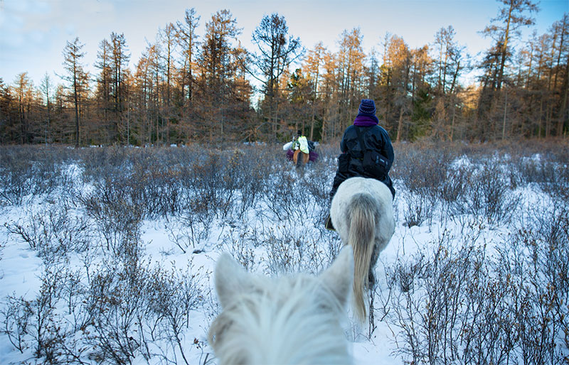 horse riding in january mongolia 
